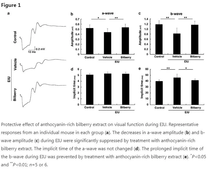 bilberry extract function