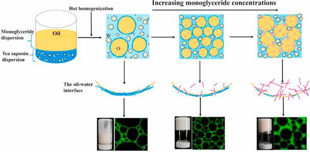 tea saponin as emulsifier
