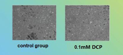 fig 4 fig 4