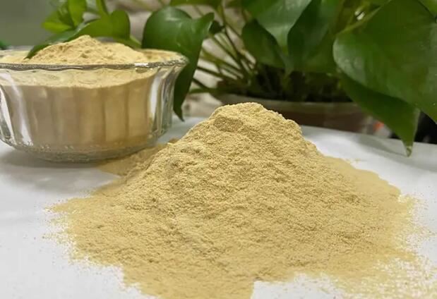চা স্যাপোনিন পাউডার সিএএস 8047-15-2